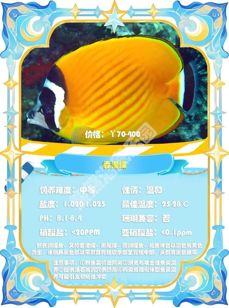 假鰈魚和真鰈魚圖片