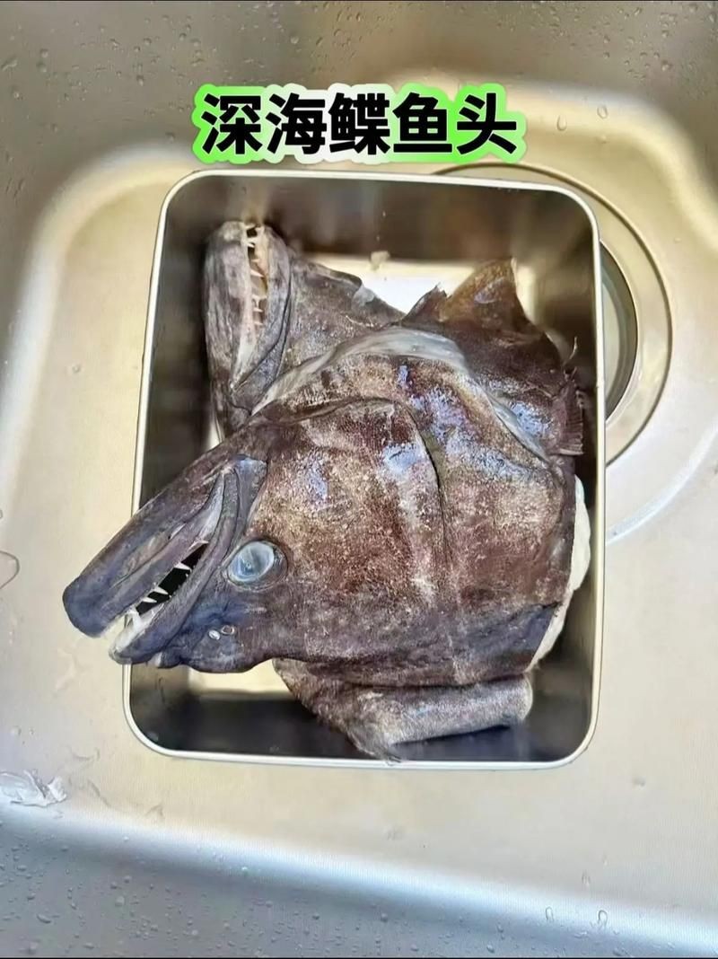 假鰈魚和真鰈魚圖片