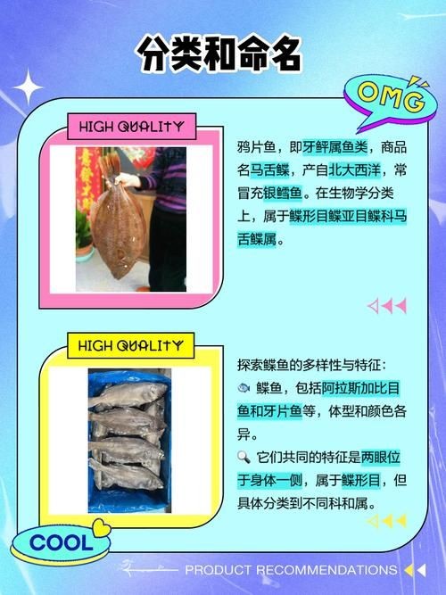 假鰈魚和真鰈魚圖片