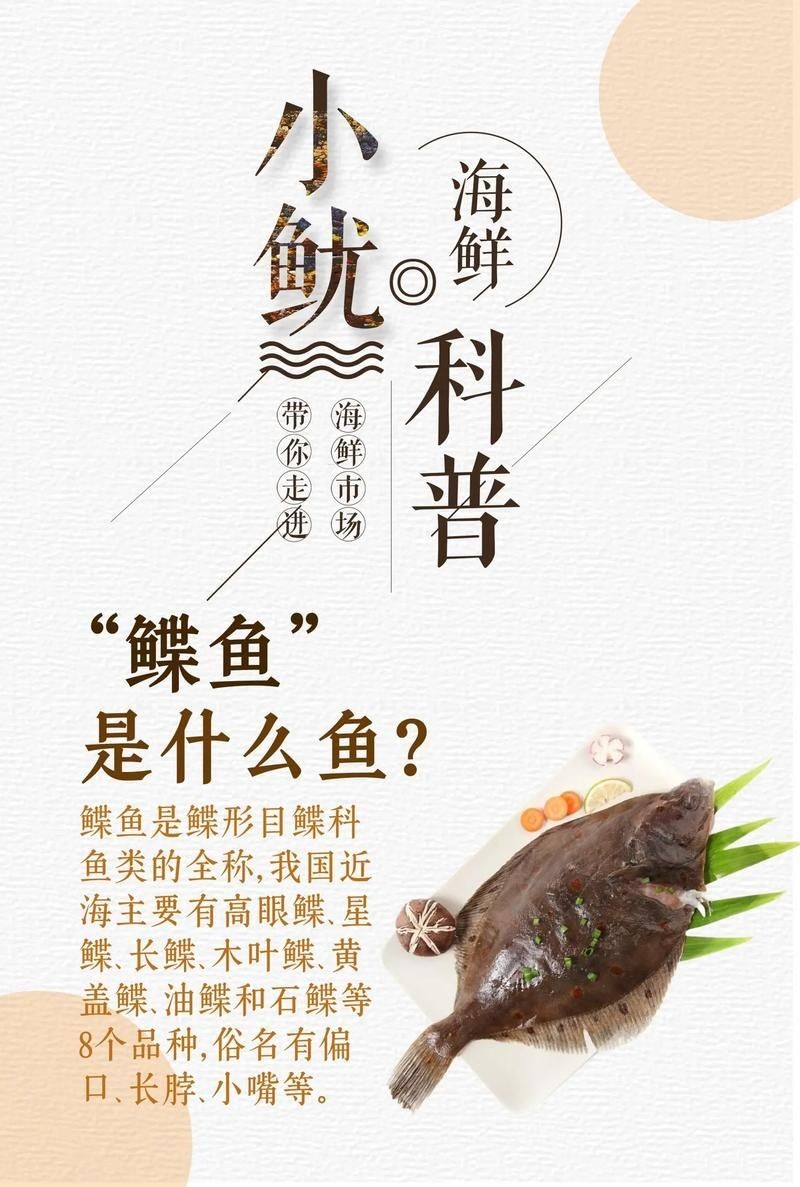 假鰈魚和真鰈魚圖片