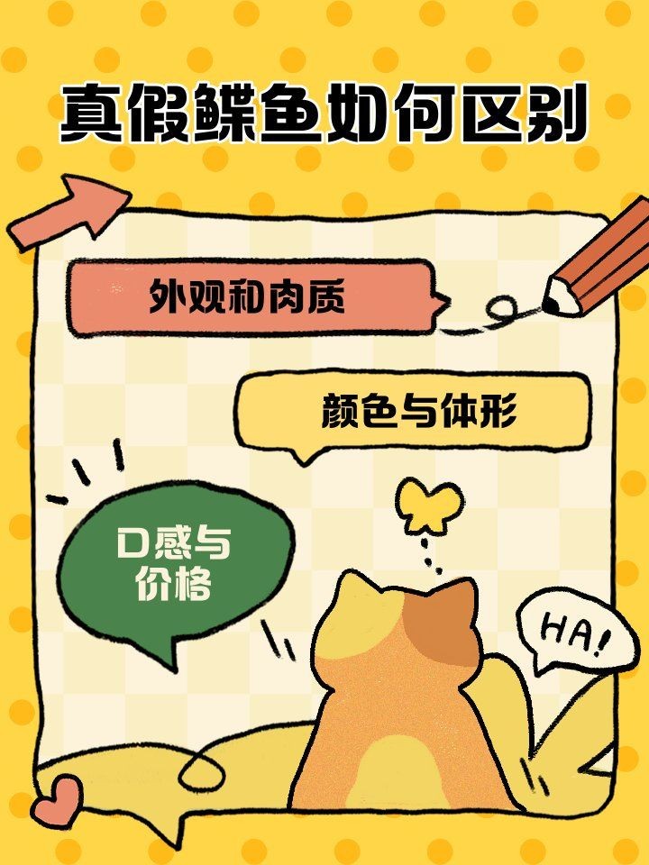 假鰈魚和真鰈魚圖片