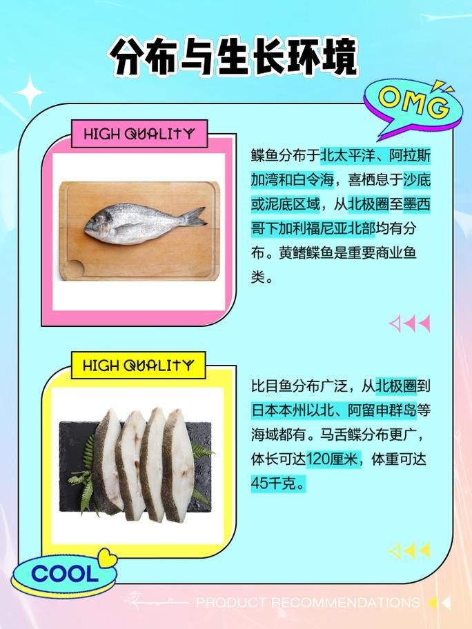 假鰈魚和真鰈魚圖片