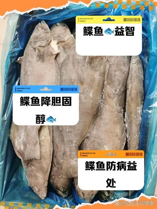 假鰈魚和真鰈魚圖片