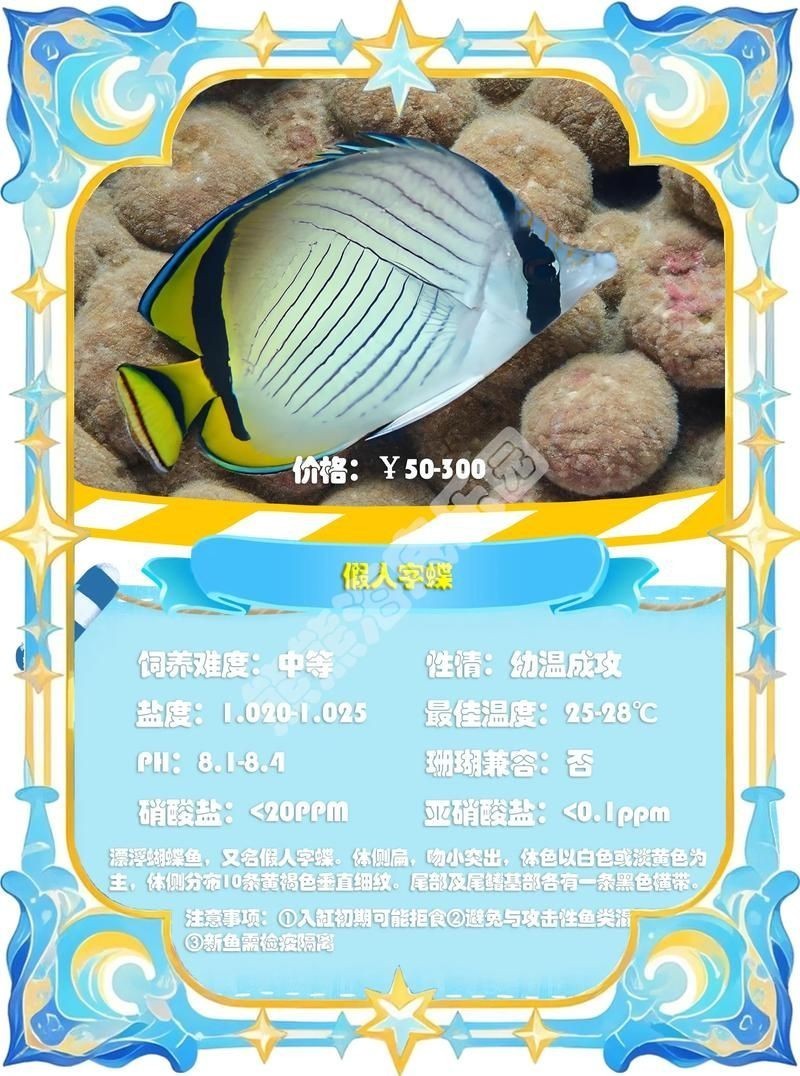 假鰈魚和真鰈魚圖片