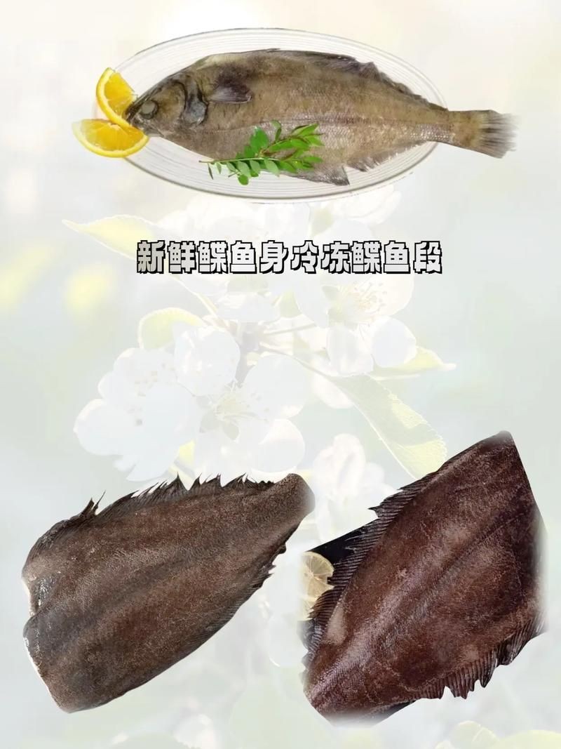 假鰈魚和真鰈魚圖片