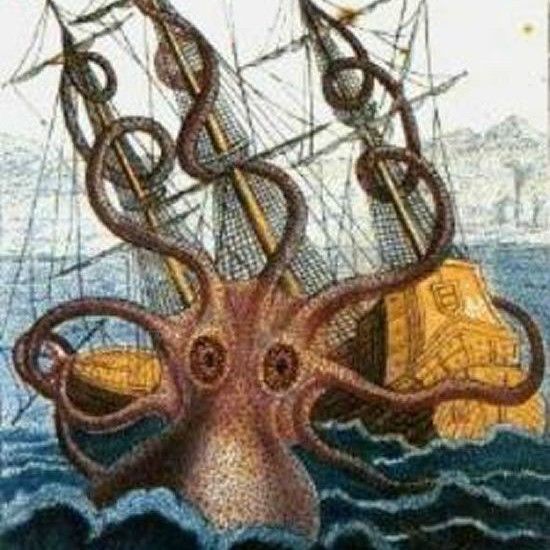 巨型章魚vs大王烏賊
