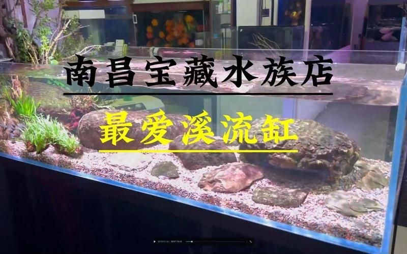 南昌水族店