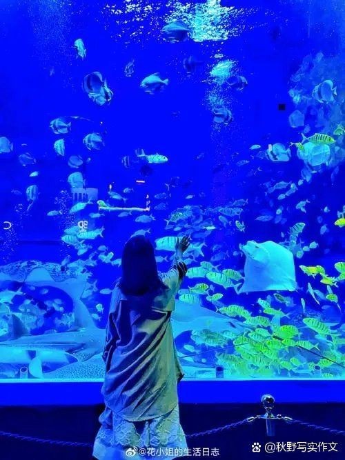 南昌水族店