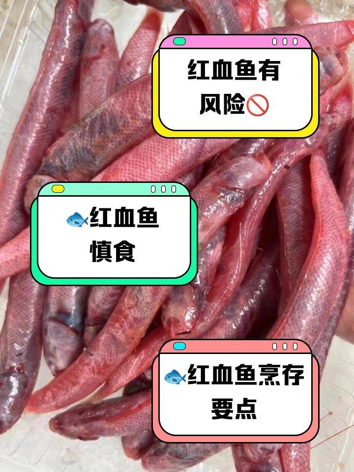 深海紅龍魚為啥不建議吃