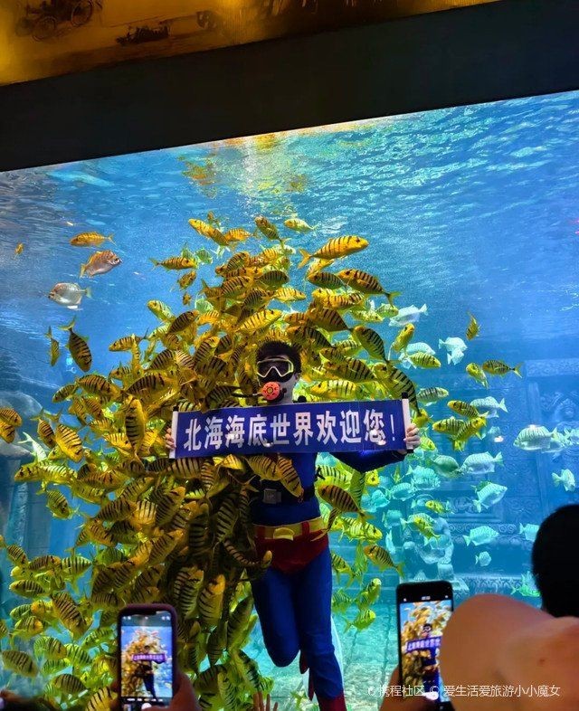 紅龍魚(yú)的品種有哪些（紅龍魚(yú)買(mǎi)什么品種好養(yǎng)）