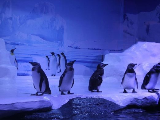 北海水族館