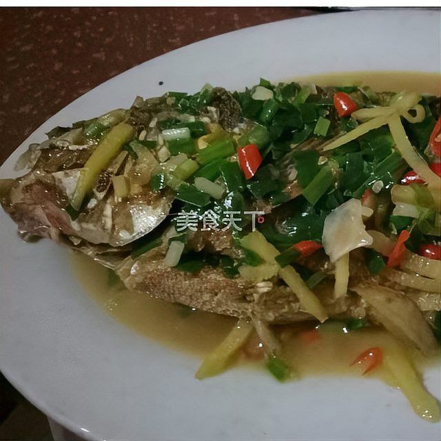 廣東福壽魚是什么魚
