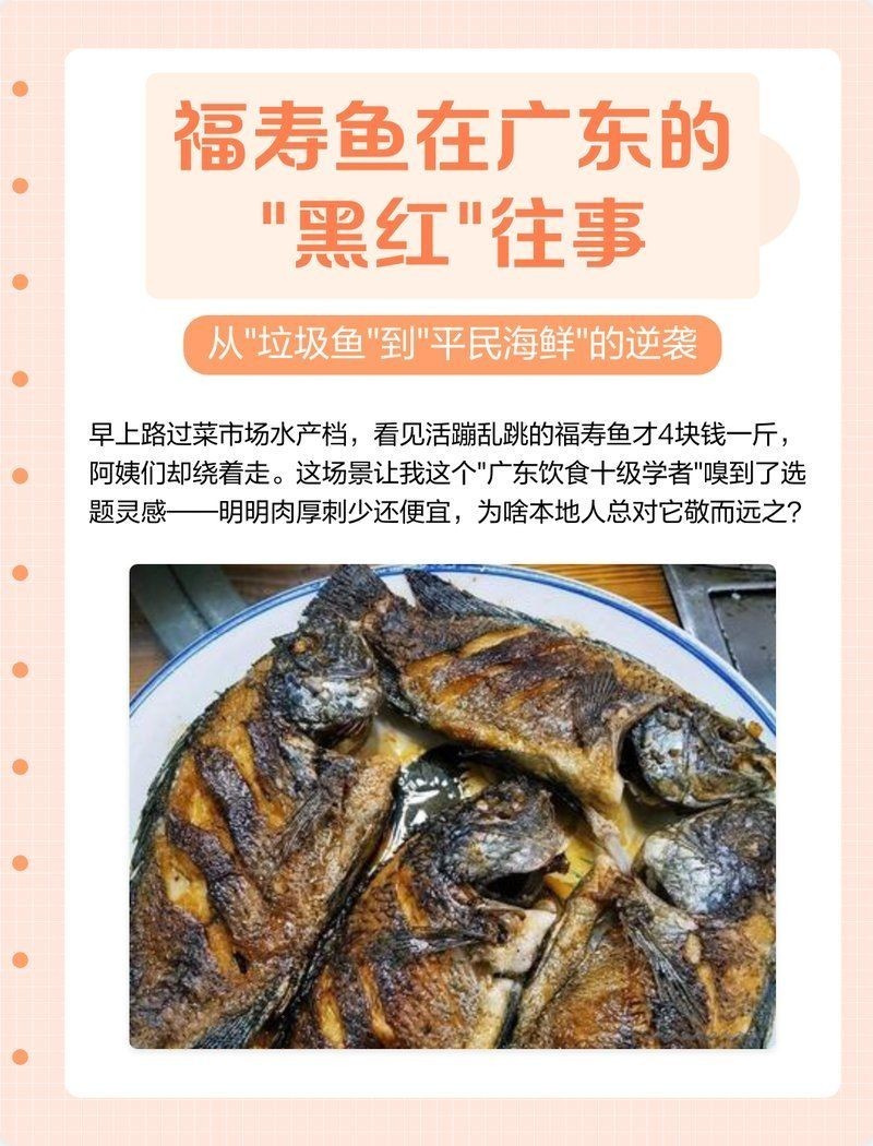 廣東福壽魚是什么魚