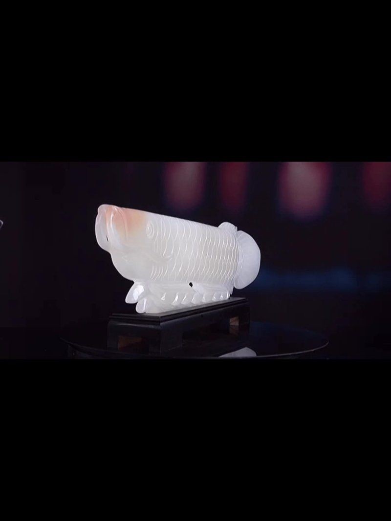 三種人不宜擺金龍魚