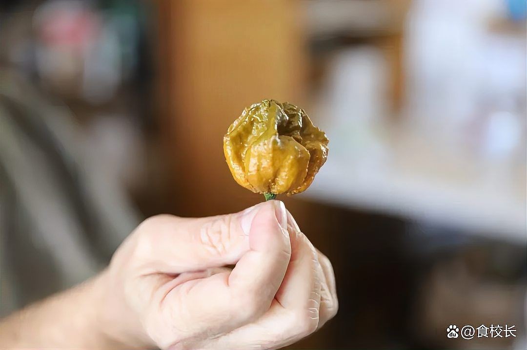 很辣的綠色辣椒叫什么
