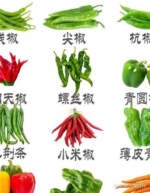 很辣的綠色辣椒叫什么
