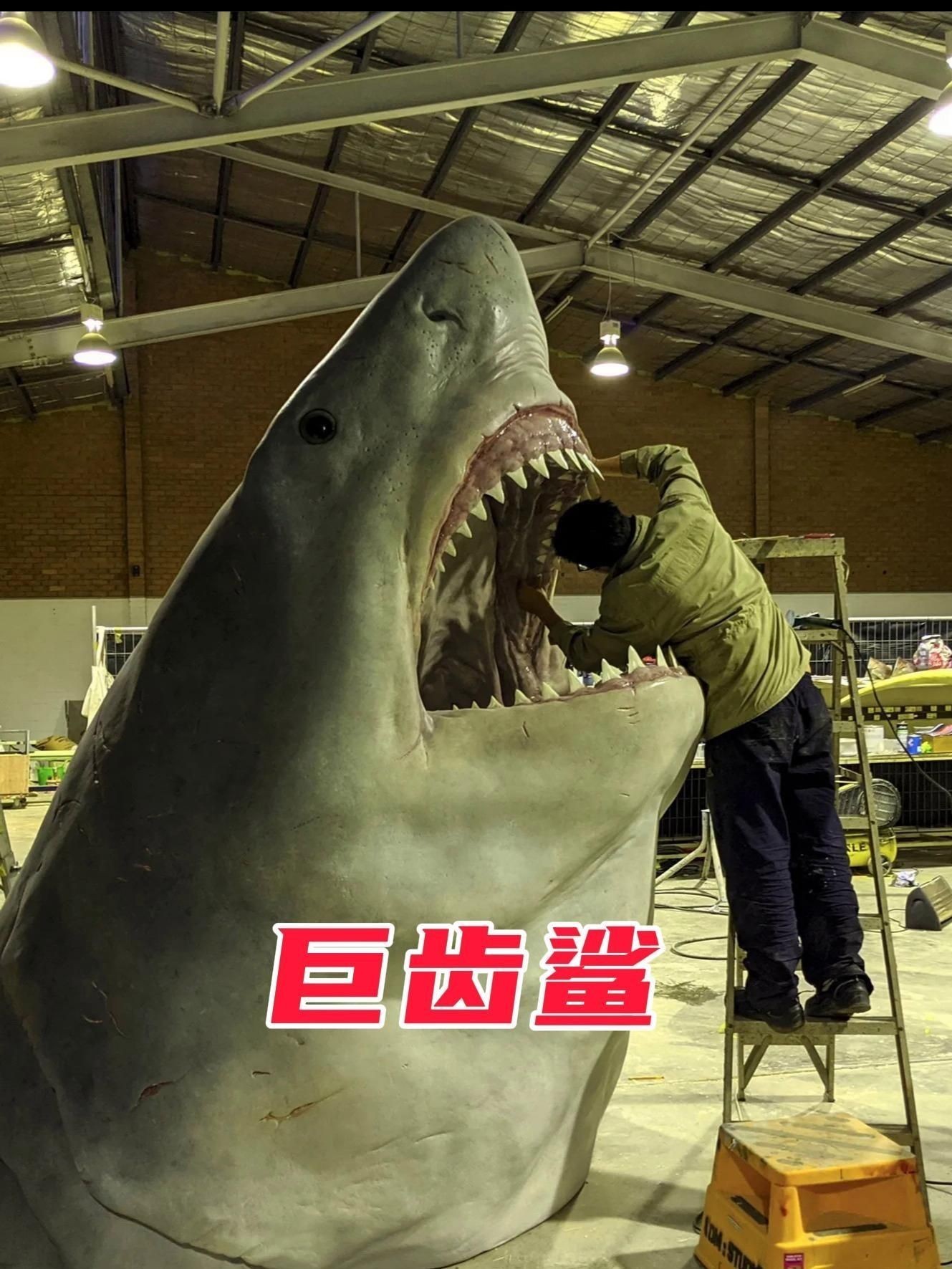 巨齒鯊多少錢一只