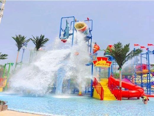 六安水族批發(fā)市場