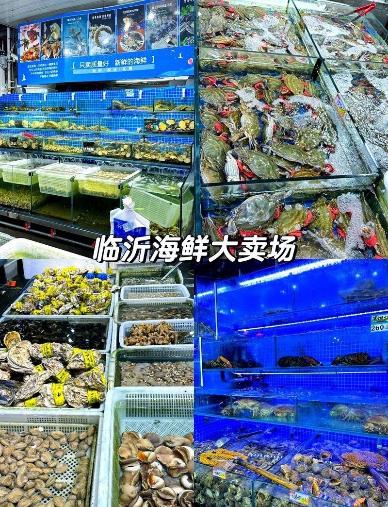 臨沂水族批發市場