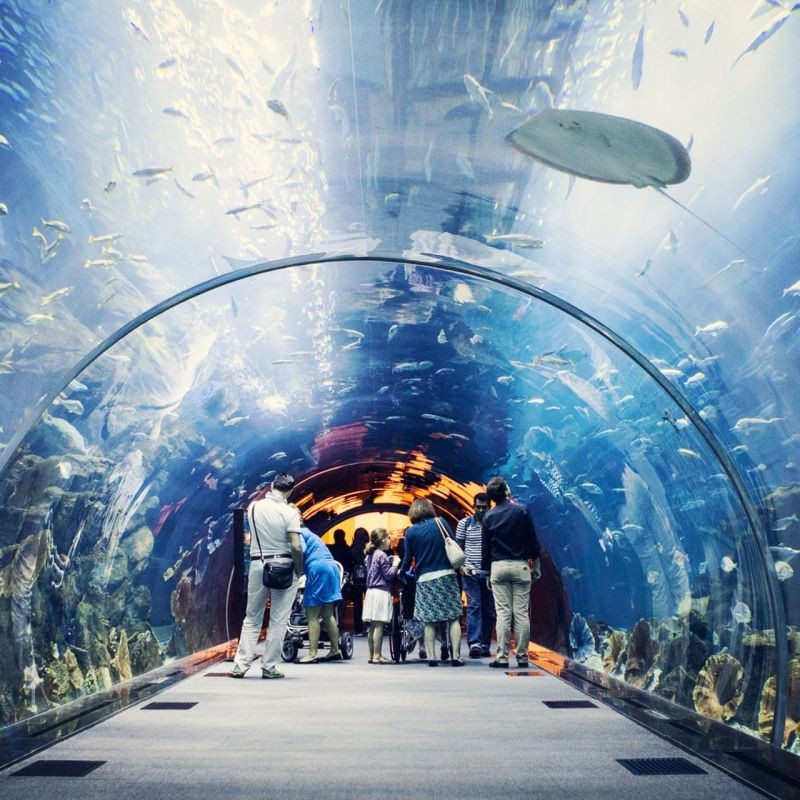 東莞水族館