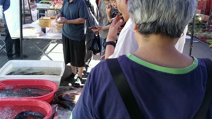 和尚魚市場價今日價
