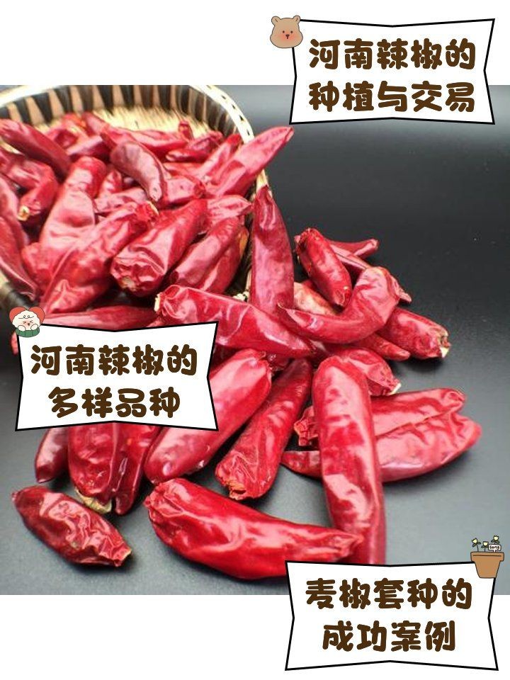龍魚飼料魚的消毒方法，龍魚飼料魚如何消毒