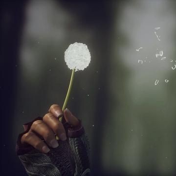 河南辣椒品種