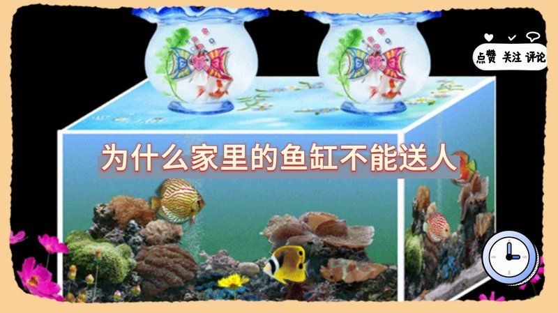 舊魚缸送人的講究
