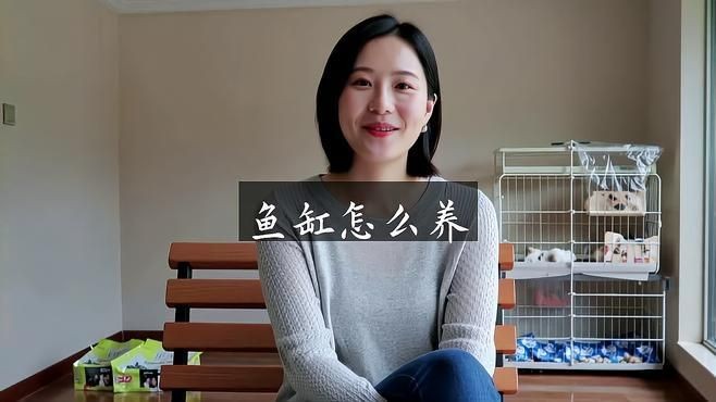 家庭魚缸養魚視頻