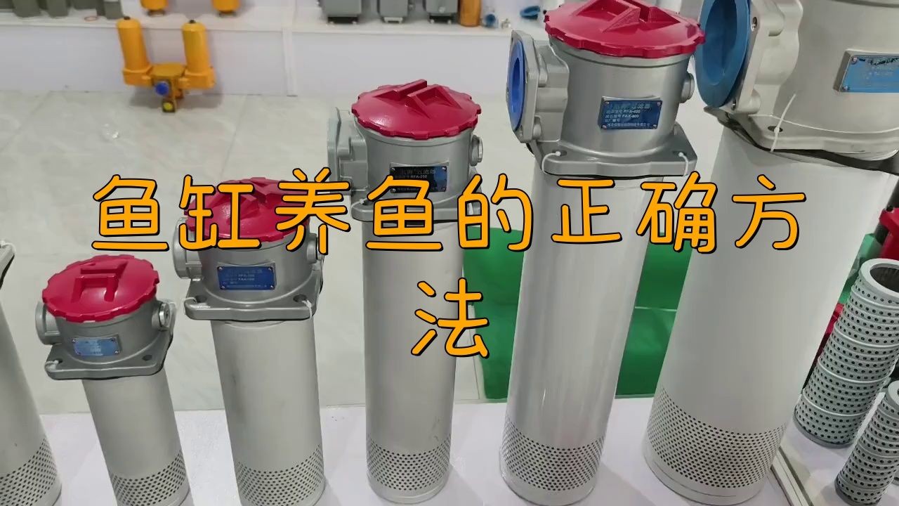 家庭魚缸養魚視頻