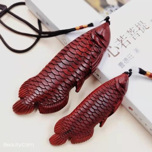 木雕魚圖片100張 木雕魚圖片100張 龍魚百科 第23張