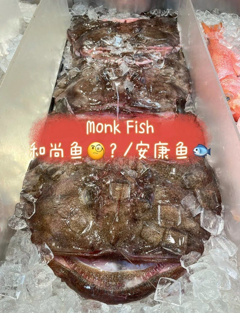 和尚魚最簡單三個照片