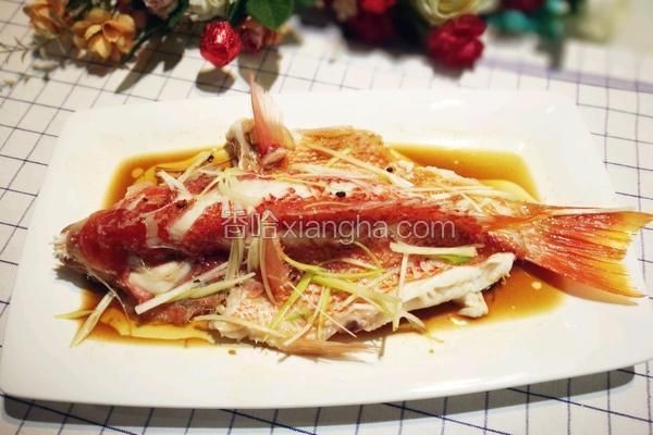 廣東豬鼻子魚最簡單三個步驟