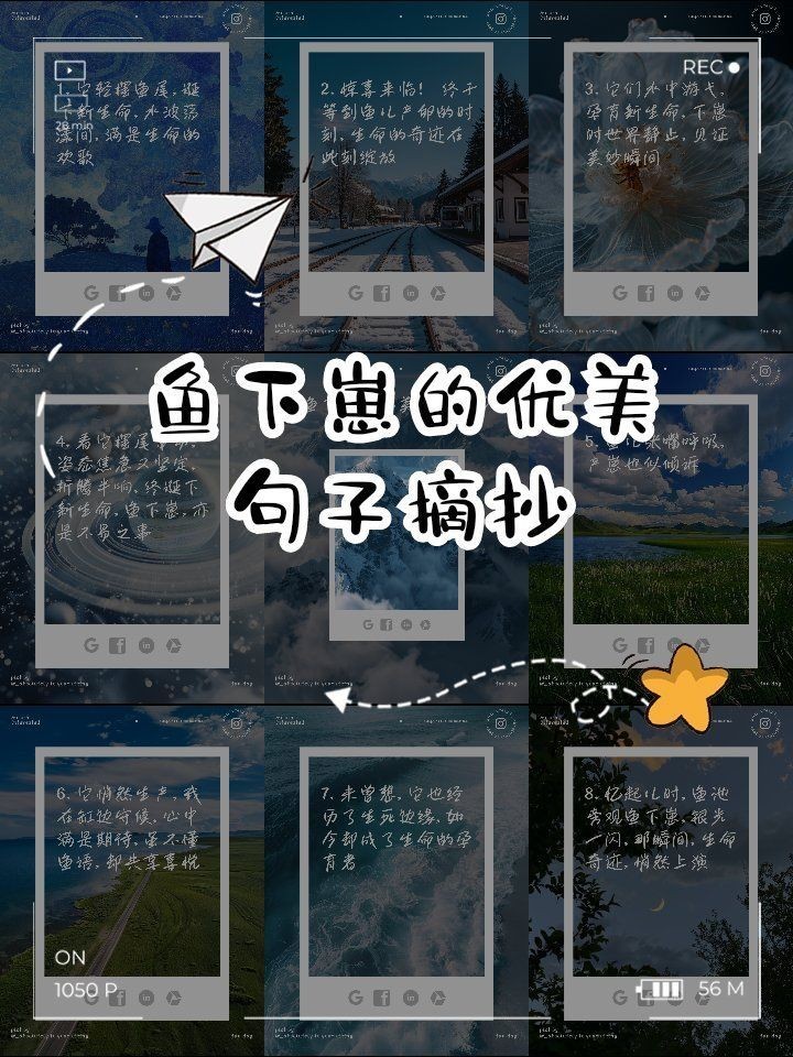 剛買回來魚下崽了寓意