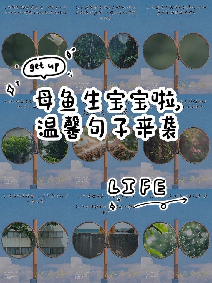 剛買回來魚下崽了寓意