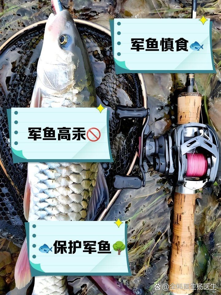 軍魚身上的肉有寄生蟲嗎