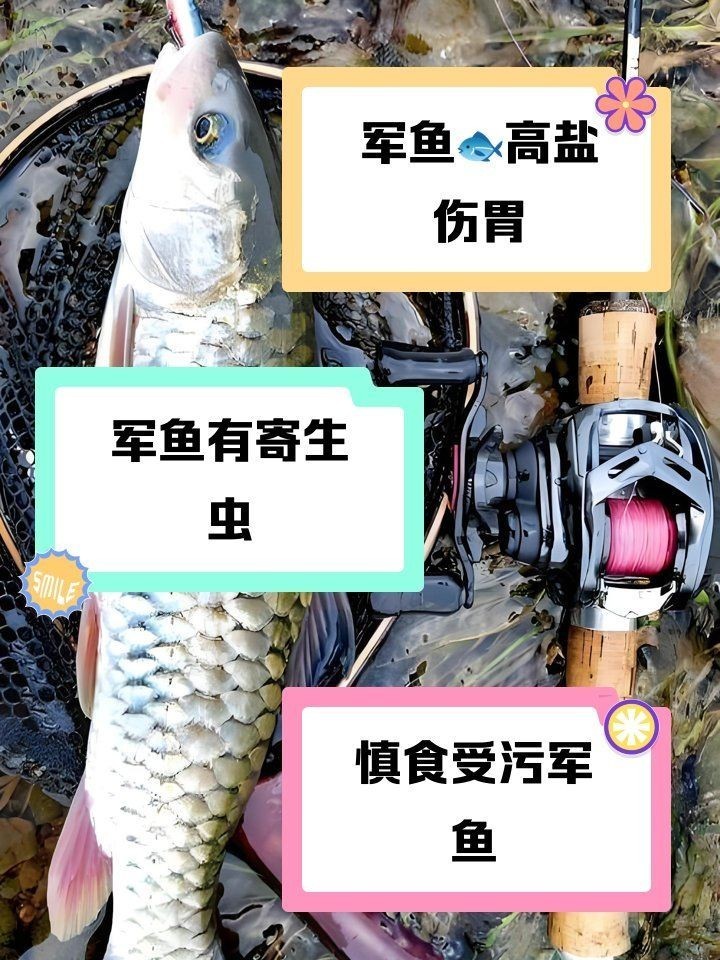 軍魚身上的肉有寄生蟲嗎
