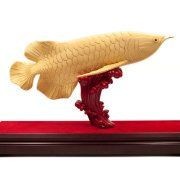 招財龍魚擺在什么地方 龍魚百科 第9張 招財龍魚擺在什么地方 招財龍魚擺在什么地方 龍魚百科 第9張