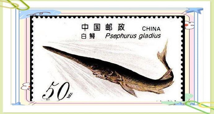國家二級保護魚類名單