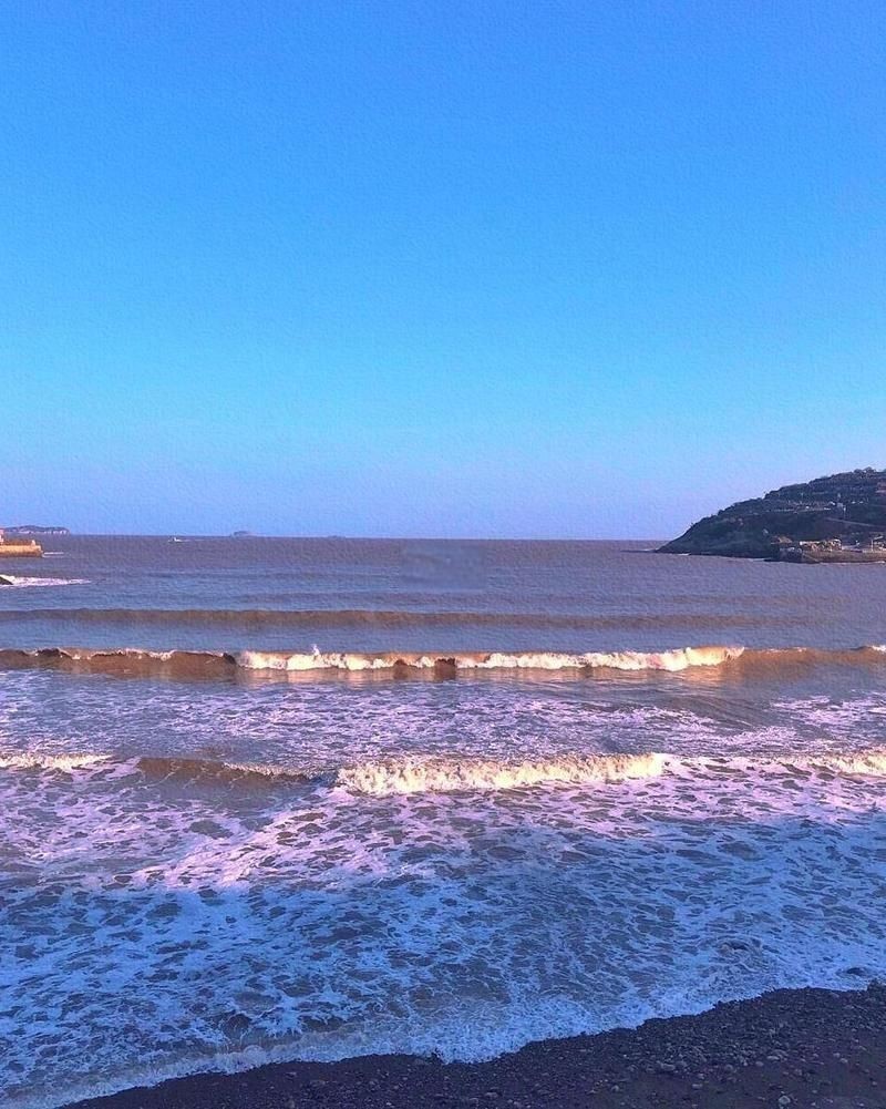 臺州水族批發市場