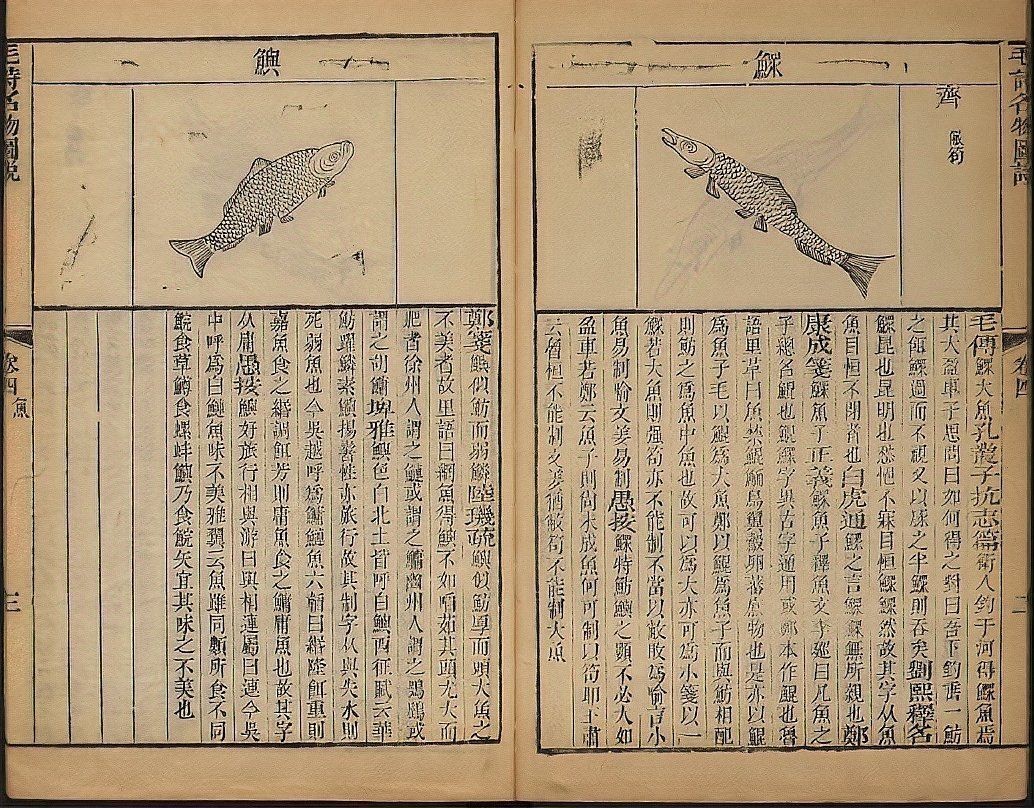 古代魚有哪些種類