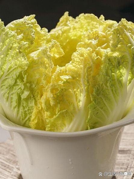 和興鼎龍魚銷售網點查詢