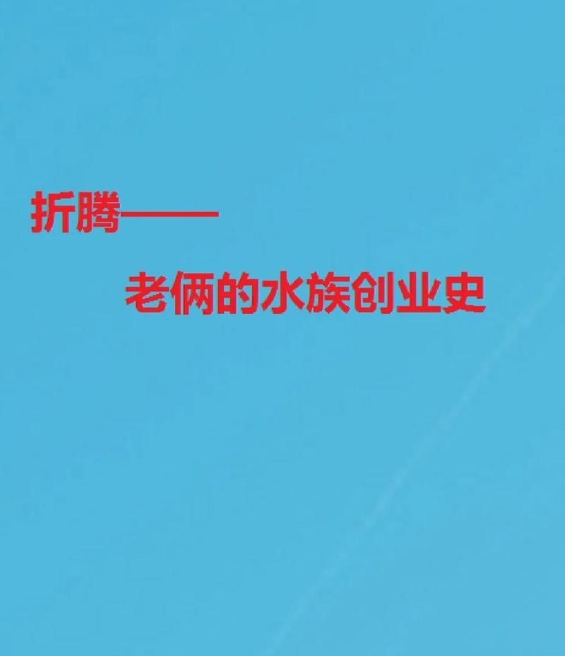保定水族店