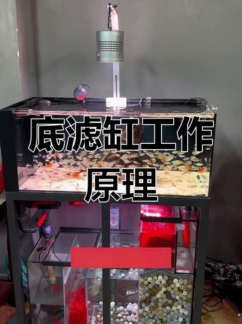 九鼎魚(yú)缸過(guò)濾系統(tǒng)圖解步驟詳解