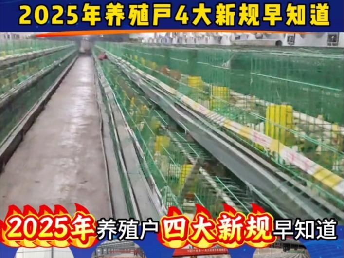 個人合法養龜要辦什么證