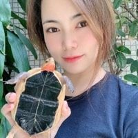 個人合法養龜要辦什么證