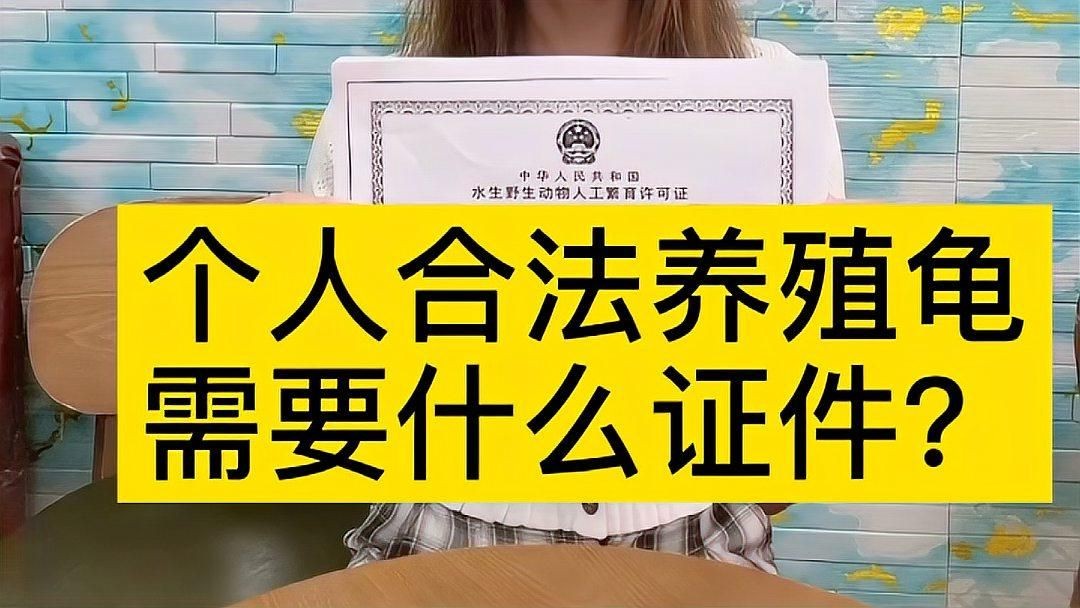 個人合法養龜要辦什么證