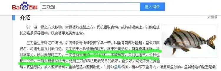 和三刀魚很像的魚