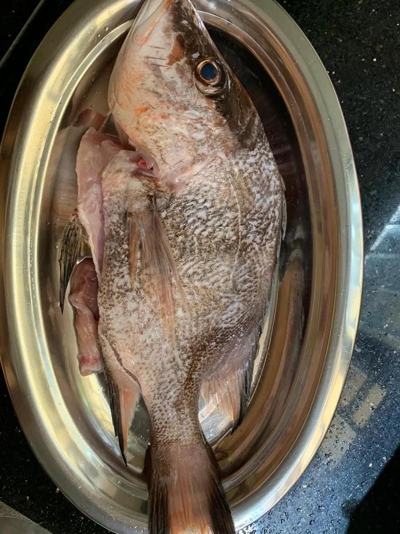 和三刀魚很像的魚