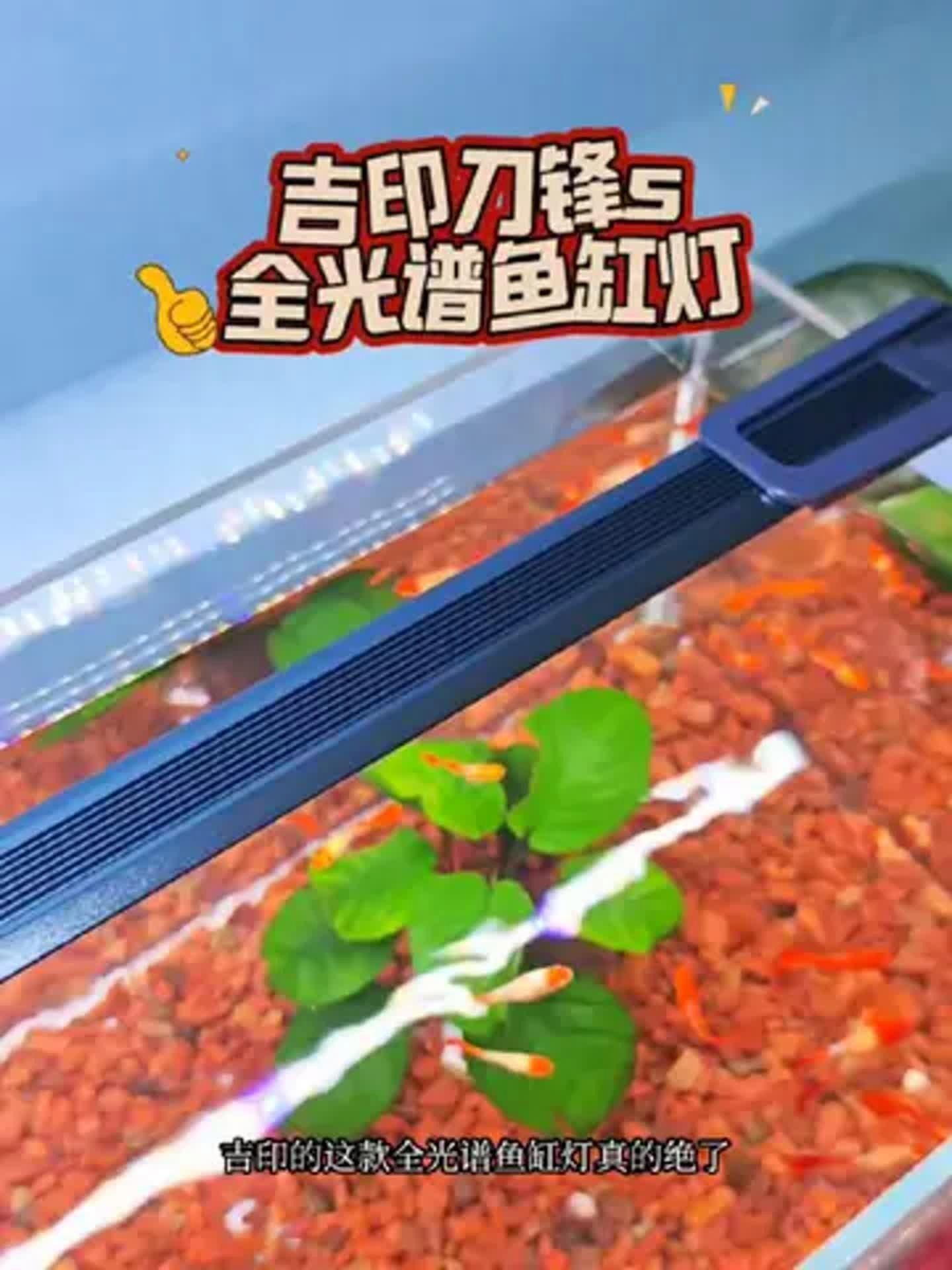 吉印魚(yú)缸燈哪種最清澈好